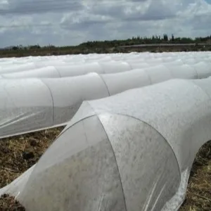 A low tunnel structure in a field covered with white non-woven polypropylene agricultural fabric to protect growing crops.