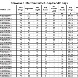 A schematic technical diagram showing a 3D perspective and material layout of a non-woven side gusset shopping bag with loop handles.