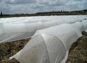 Non-Woven PP Agriculture Crop Cover Rolls